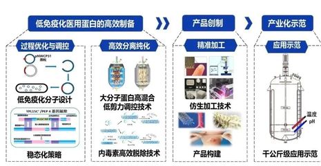 西北大學獲批3項國家重點研發計劃，聚焦生物化工產品技術研發新突破