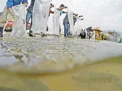 深化水環境污染防治 守護我市碧水清波
